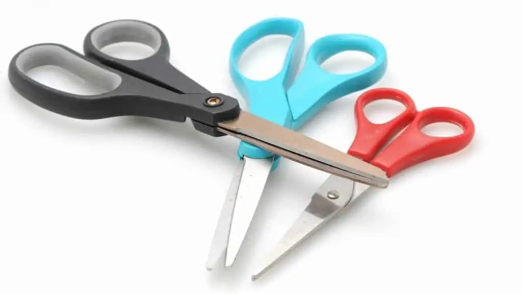 Can You Bring Scissors on a Plane 2024? Travel Easier