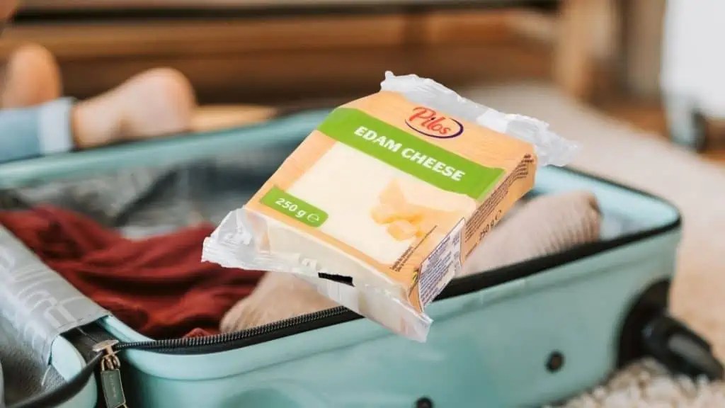 Can You Bring Cheese on a Plane