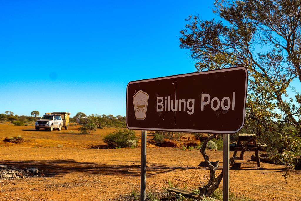 Along Carnavon Mullewa Road in Gascoyne Murchison Travel nut