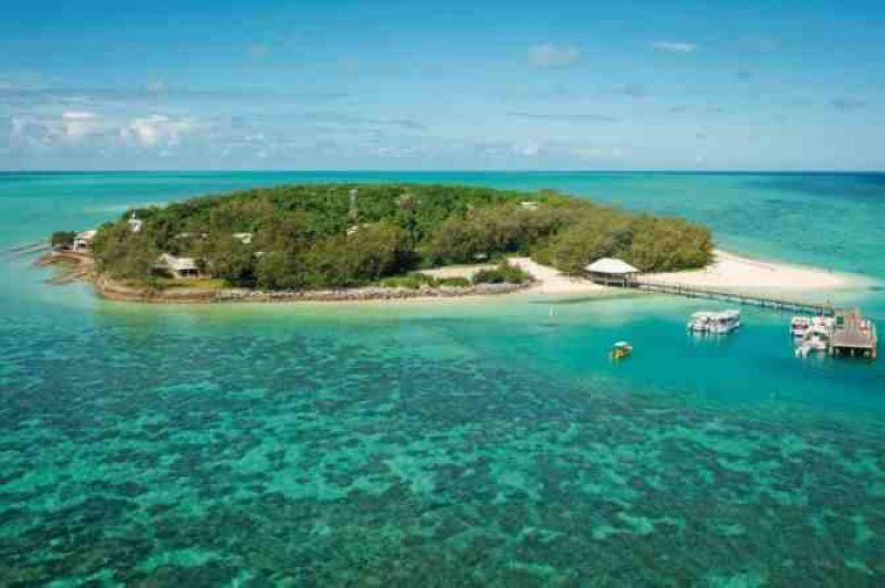 Heron Island 8 Things To Do and Reasons To Visit