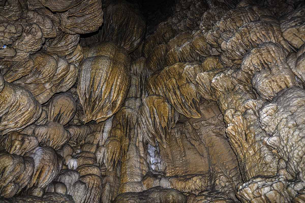 12 Caves In Oregon To Explore In 2024