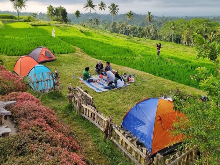 Lokasi Wisata Taman Langit Banyuwangi Yang Lagi Viral Travelandword