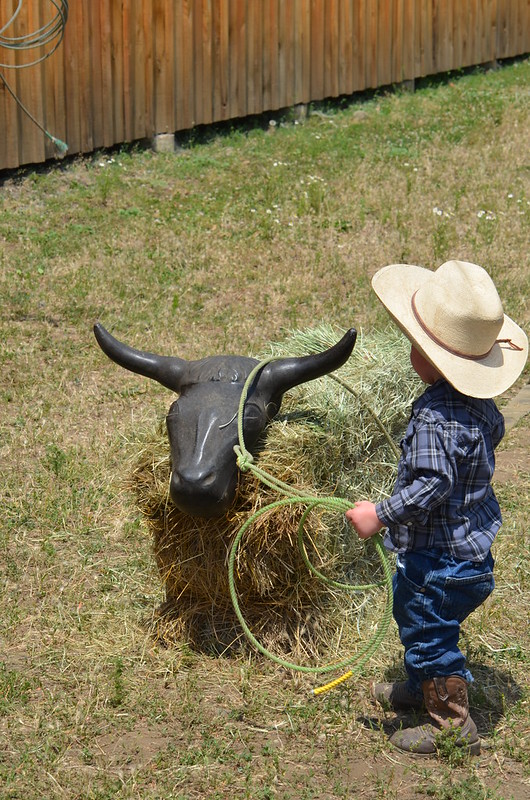 Haines Junior Stampede Rodeo Travel Baker County