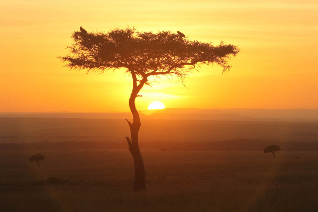 Travel Beyond Wins "World's Best" Award! Travel Beyond