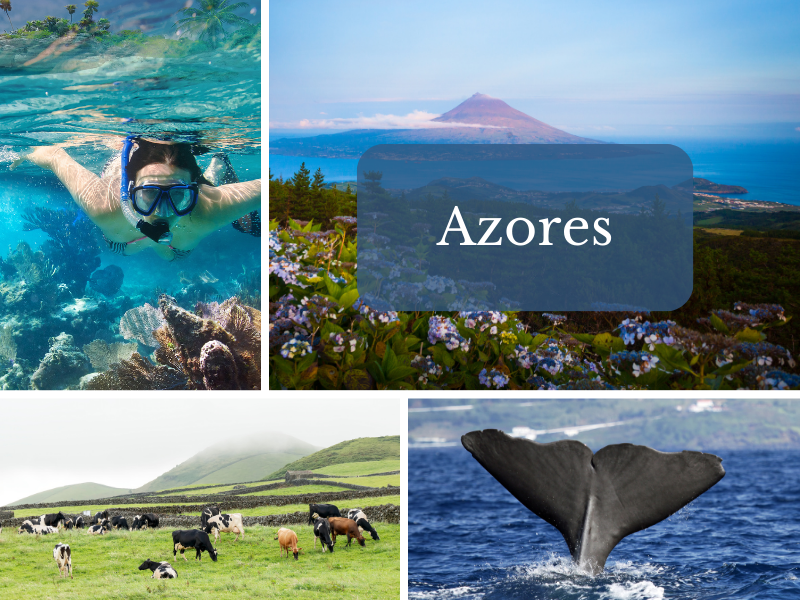 The Art of Luxury Budget Travel Eight Exceptional Destinations That Won't Break the Bank