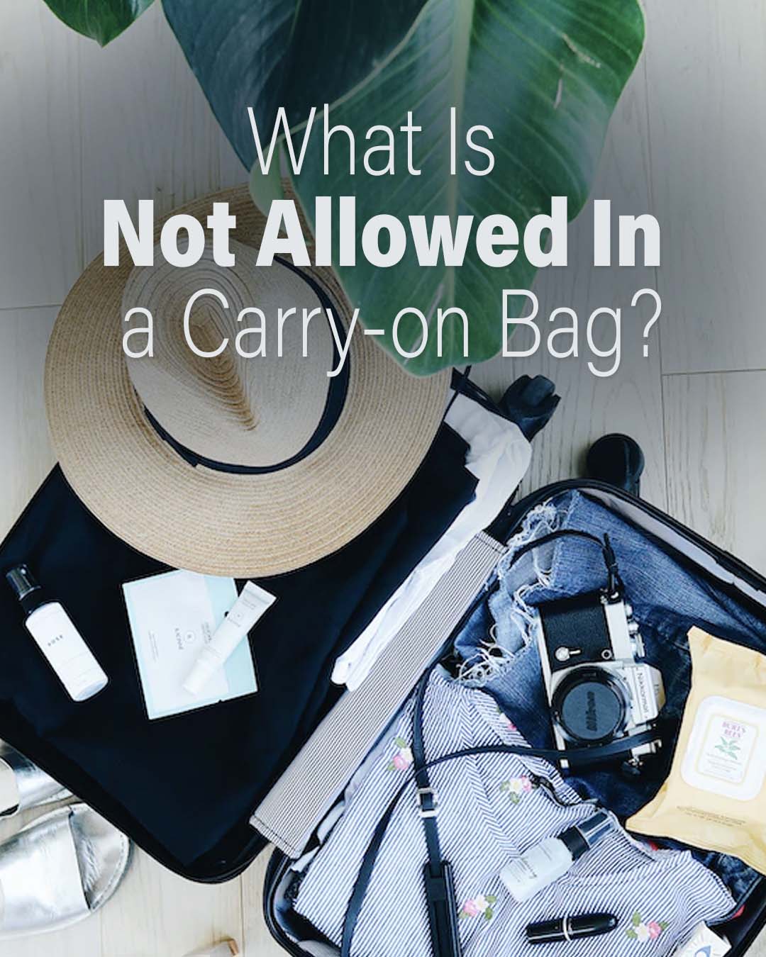 What Is Not Allowed On a Plane Carry On? A Detailed Guide