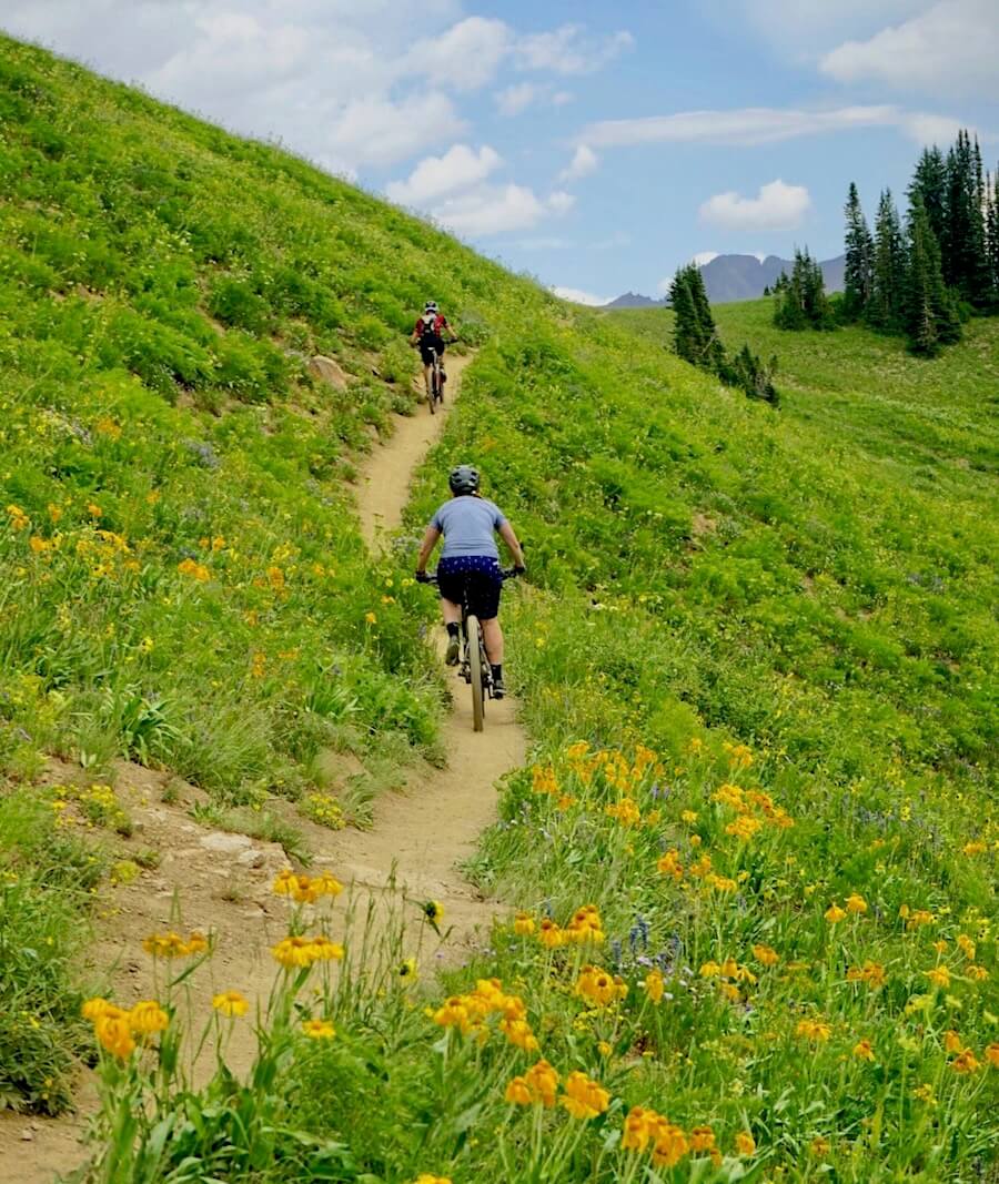 Top 5 Crested Butte Mountain Bike Trails for Advanced Riders Travel