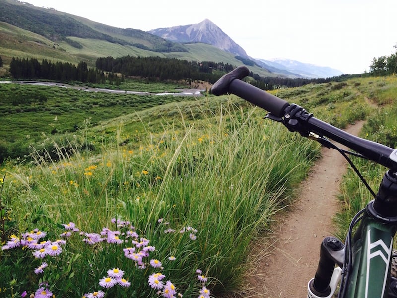 Crested Butte Mountain Biking Lower Loop Woods Walk Travel Crested