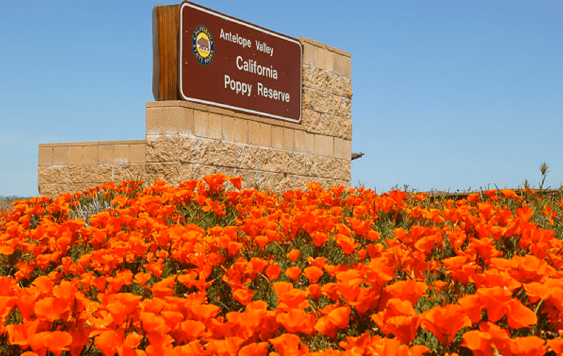 7 Best & Fun Things To Do In Lancaster (California) 2024