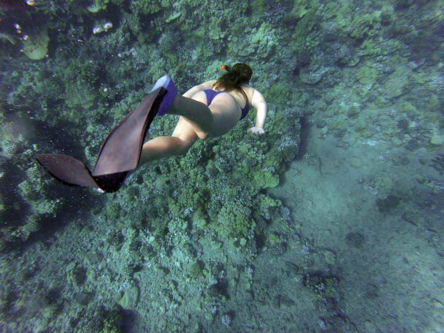 Best Spots for Snorkeling in Costa Rica Travel Dudes