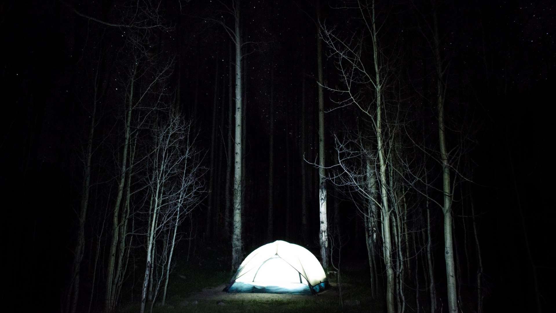 Reddit Scary Camping Stories at Daryl Robbins blog