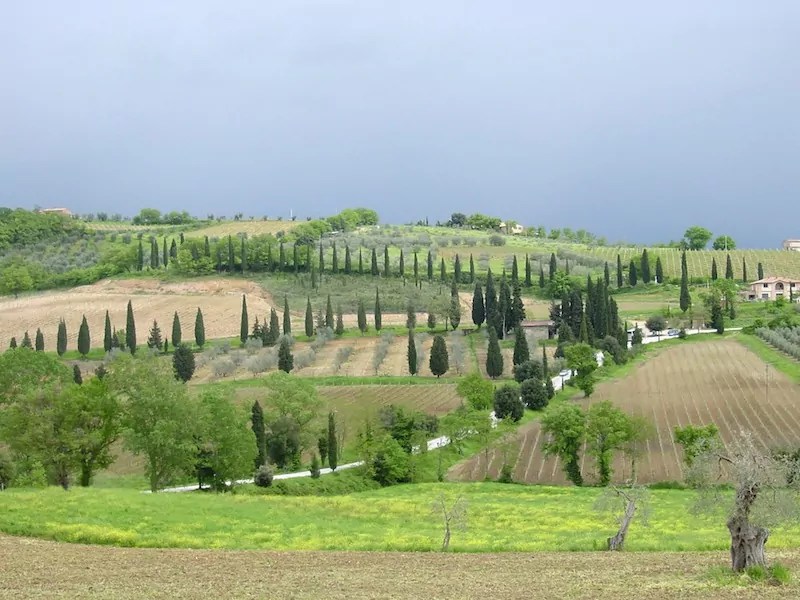 The Best Wine Regions In Europe Travelex International Virtuoso