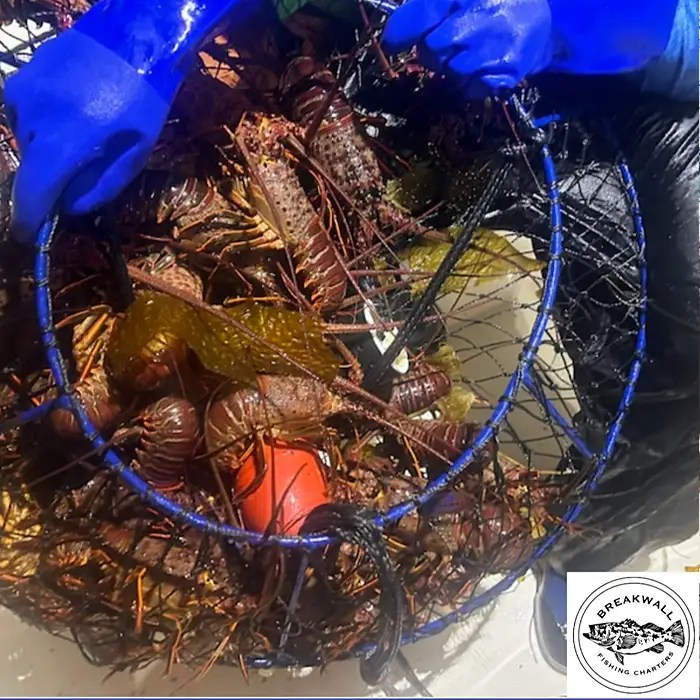 Breakwall Fishing Charters Long Beach, CA Travelfish