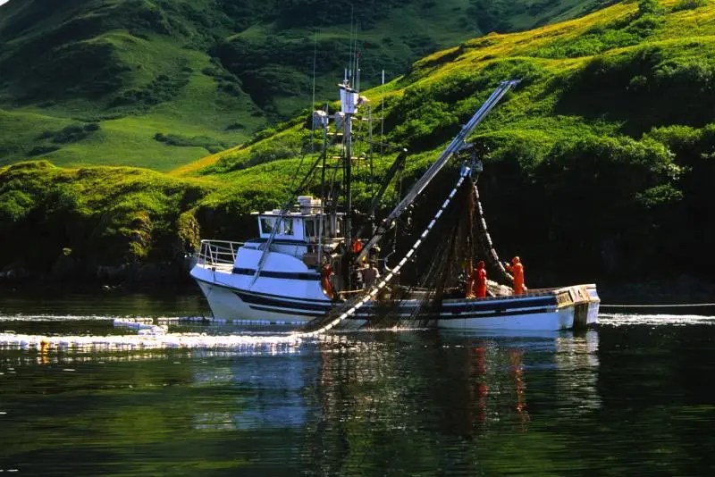 Kodiak Island Fishing The Ultimate Adventure for Halibut and Salmon
