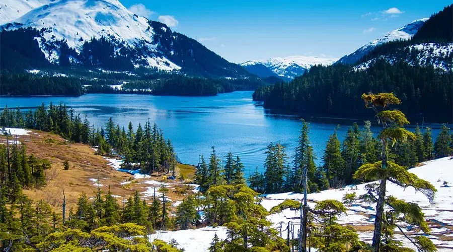 Prince William Sound Fishing Scenic Salmon and Halibut Adventures