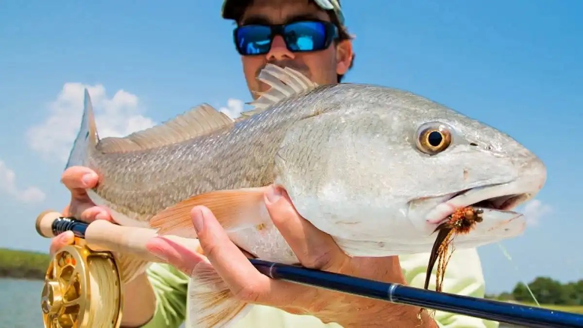 The Best Ways To Catch Redfish In Mosquito Lagoon Travelfish