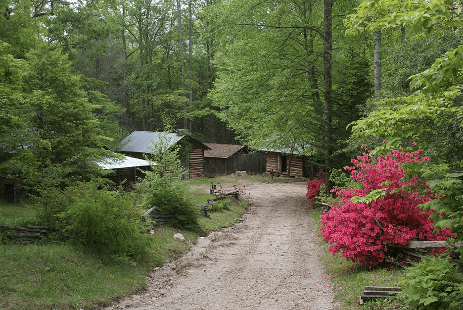 Cabin Rentals Serve as A Getaway The Worlds Foremost Travel
