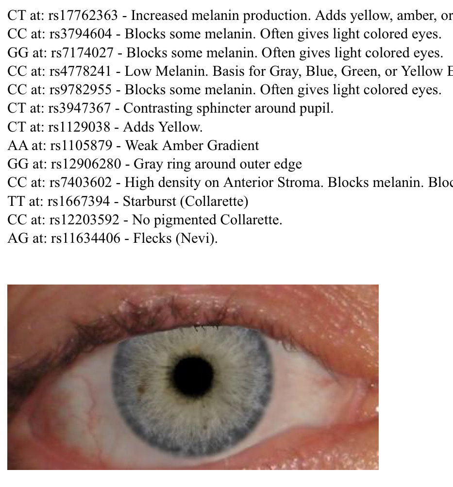 DNA Fun with GEDmatch Estimated Eye Colour TravelGenee