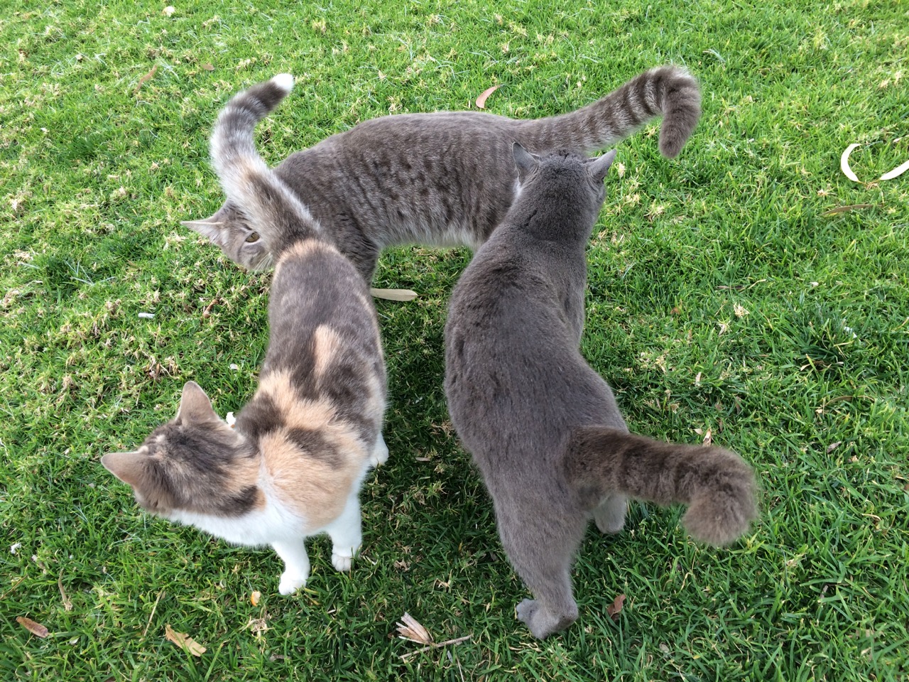 Cyprus Online Travel Resources » Traveling Bytes