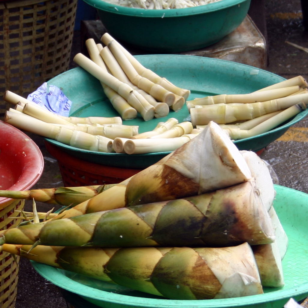 Bamboo Shoots Traveling Chili
