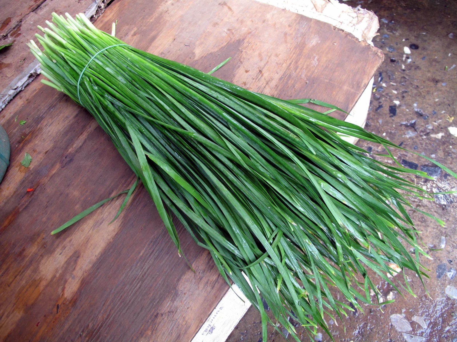 Chinese Chives Traveling Chili