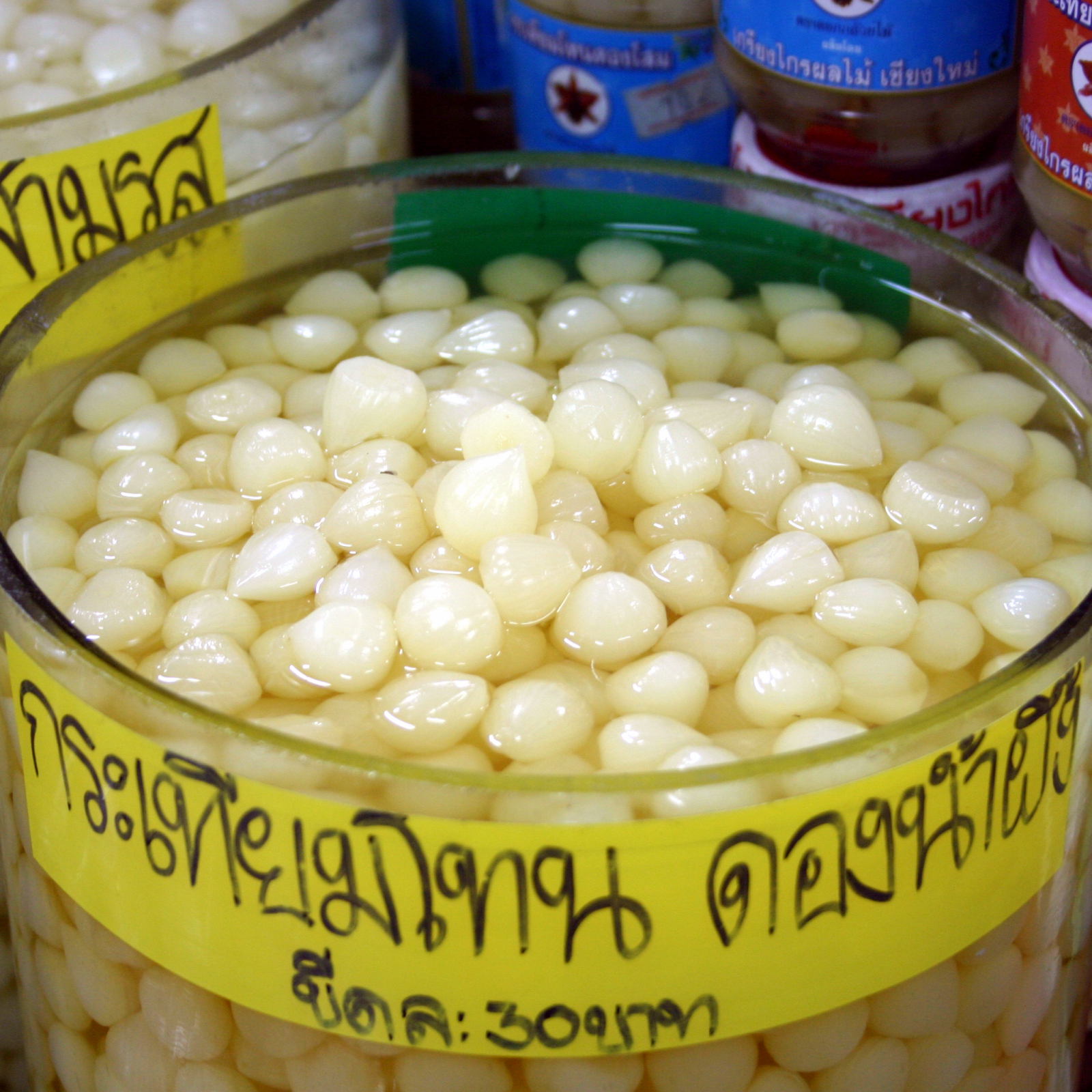 Pickled Garlic Traveling Chili