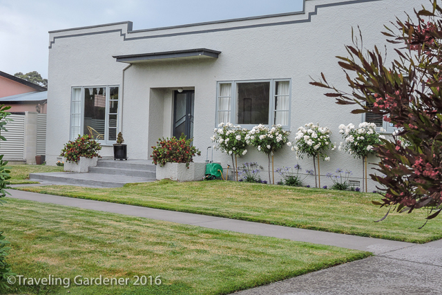 Art Deco Gardens New Zealand A Traveling Gardener