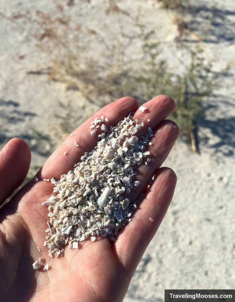 Things to see at the Salton Sea