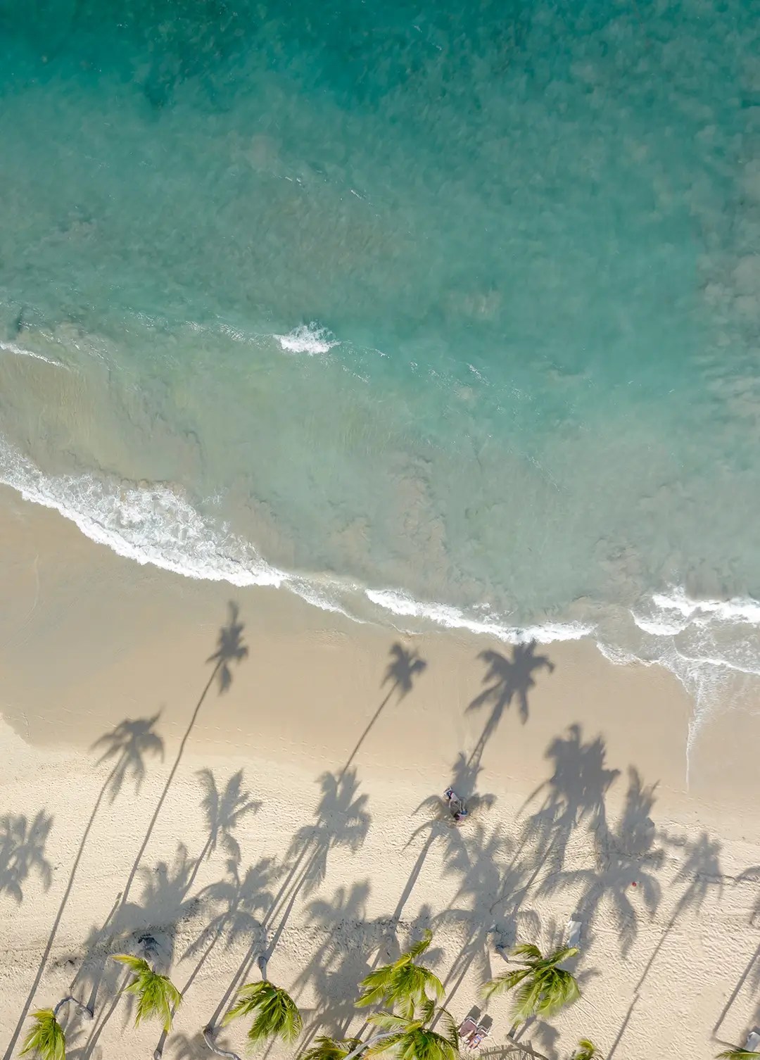 Top Beaches in Riviera Maya Tailored Vacations Travelingos