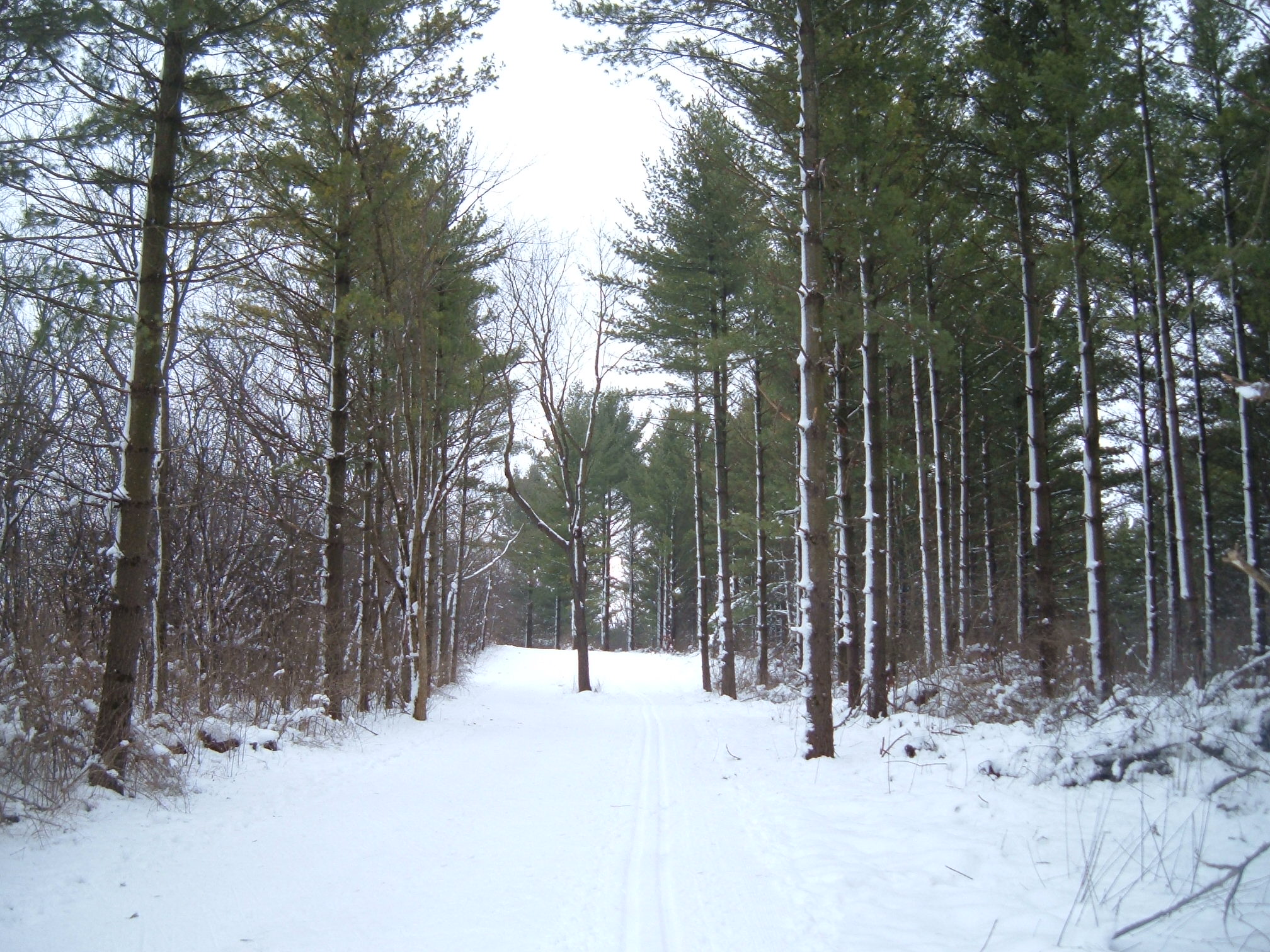 Photos of the week Kettle Moraine skiing Traveling Ted