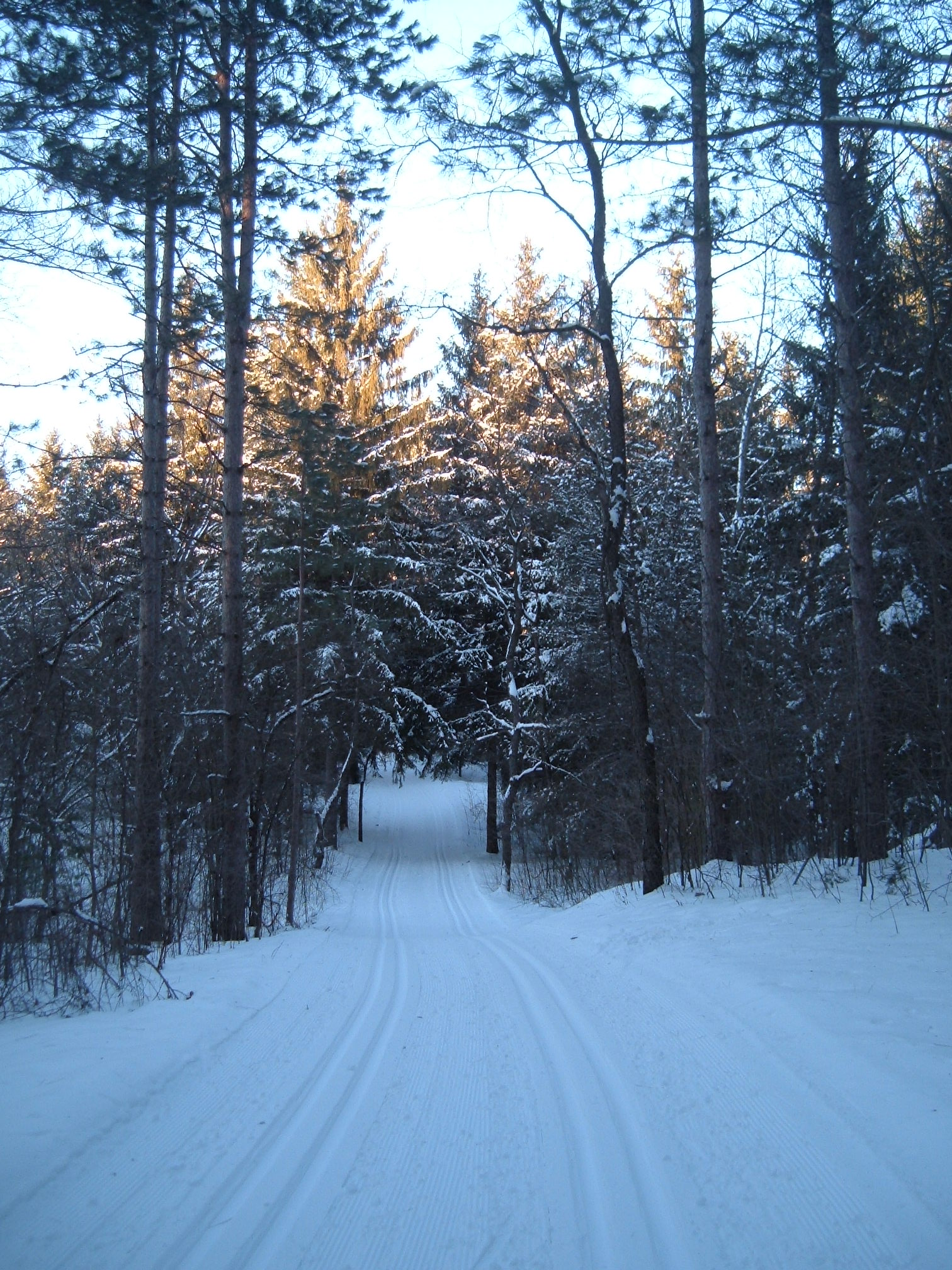 Crosscountry ski destinations in southern Wisconsin