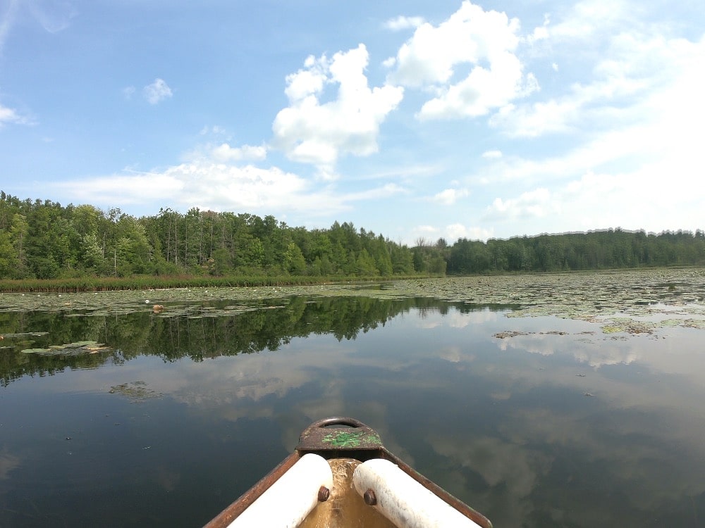 Crystal River Wisconsin Dings Dock canoe rental in Waupaca