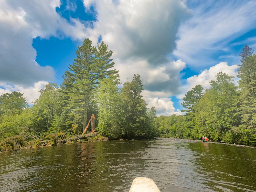 Flambeau River canoeing the North Fork below Turtle Dam