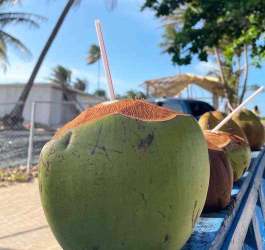 21 Best Puerto Rican Drinks to Try (By a Local) Travel Lemming