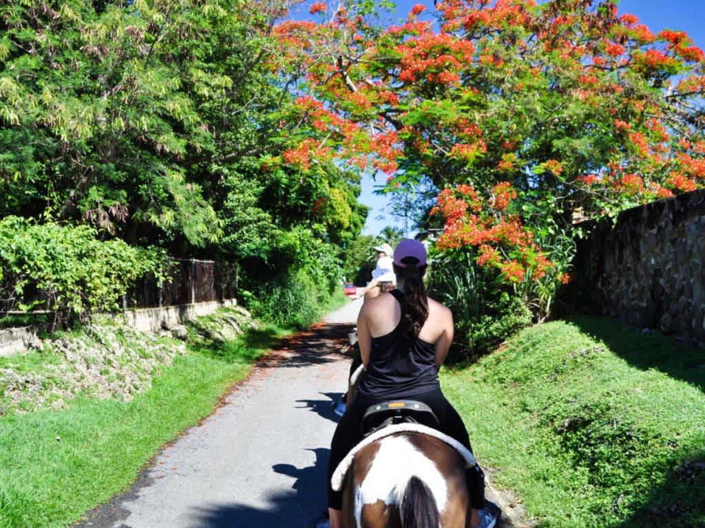 A Guide to Planning a Puerto Rico Bachelor Party