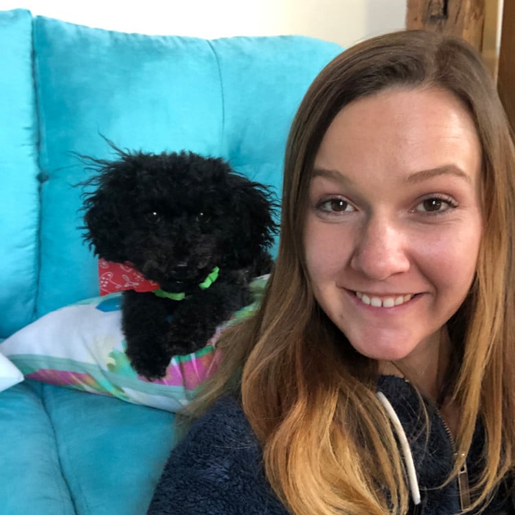 House Sitting 9 Step Guide on How to Land Free Stays Tendig