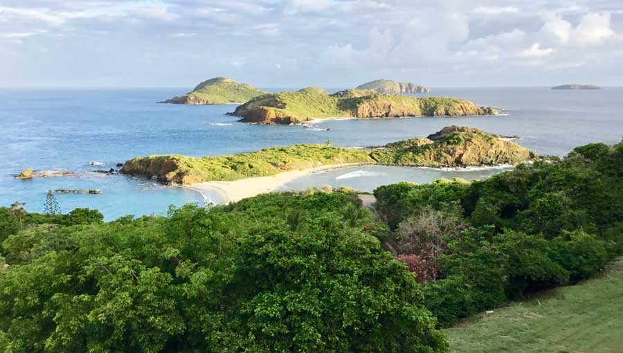 The Best Beaches in St Thomas, USVI (by a Local)