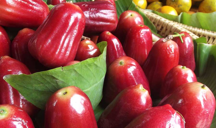 13 Puerto Rican Fruits You Must Try (By a Local)
