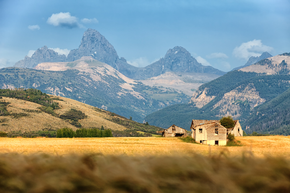 📅 The Best & Worst Times to Visit Wyoming in 2024