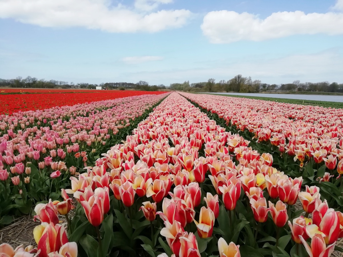 Easter special 5 places in Europe for Aussies to visit this Easter