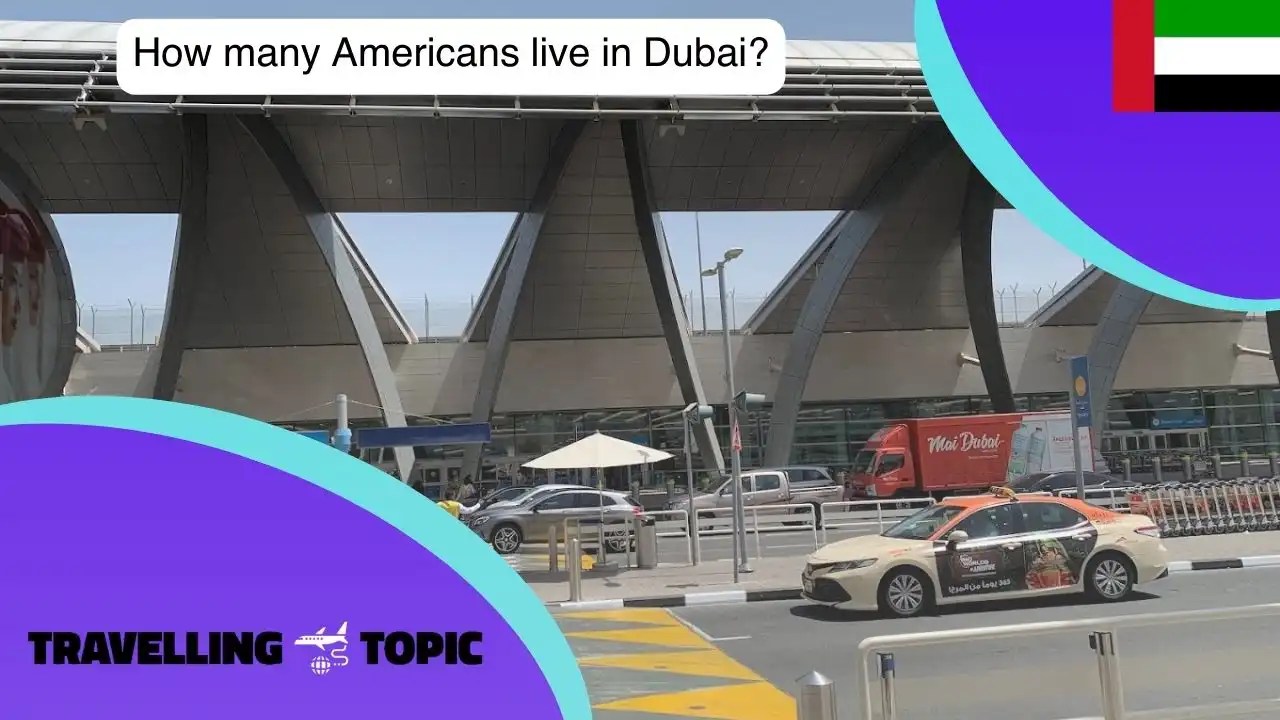 How Many Americans Live In Dubai? travelling topic