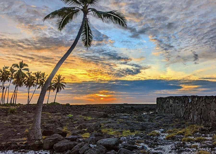 Maui vs. the Big Island Which Hawaiian Island Is Better?