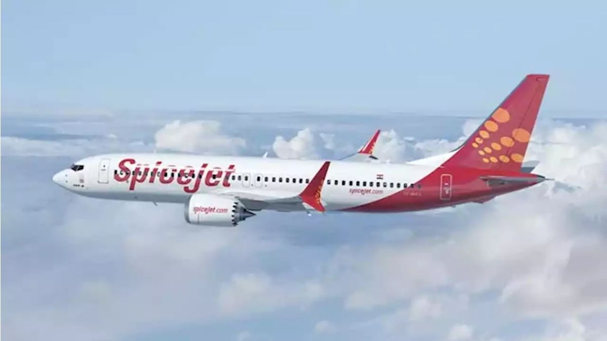 SpiceJet Announced 28 Domestic Flights Amid Festive Season All Details