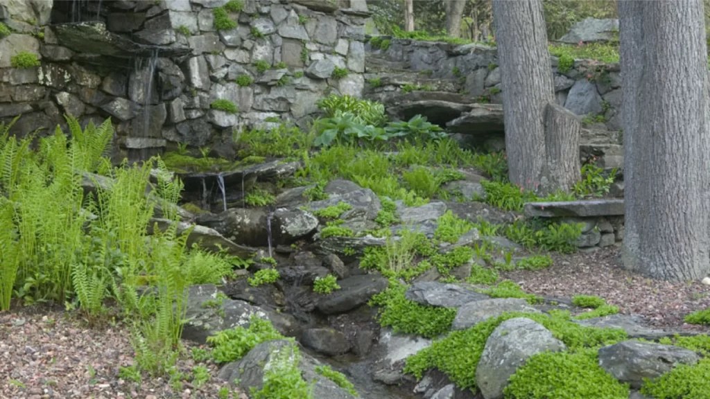 Innisfree Garden In MillbrookKnow Everything Before Visit