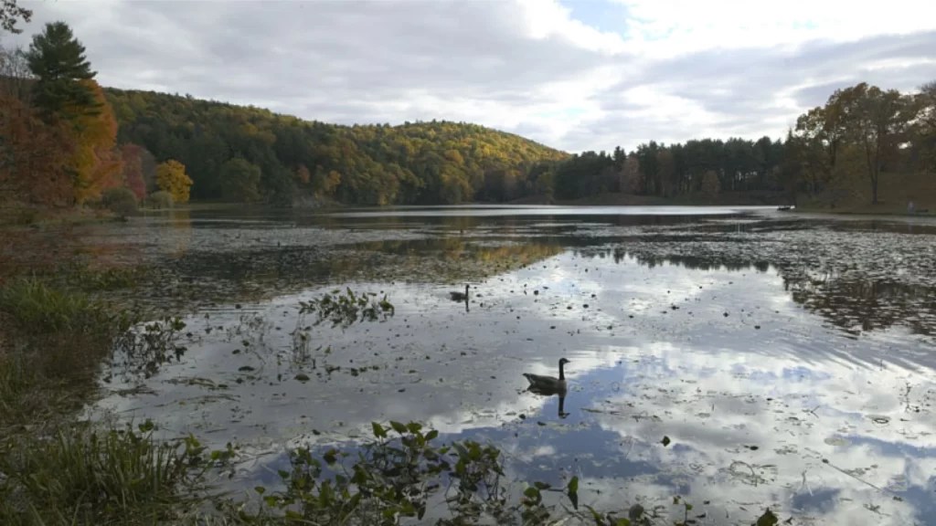 Innisfree Garden In MillbrookKnow Everything Before Visit