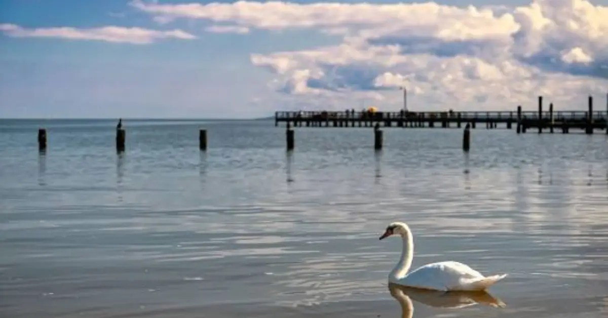 Things to do in Colonial Beach Everything to Know About