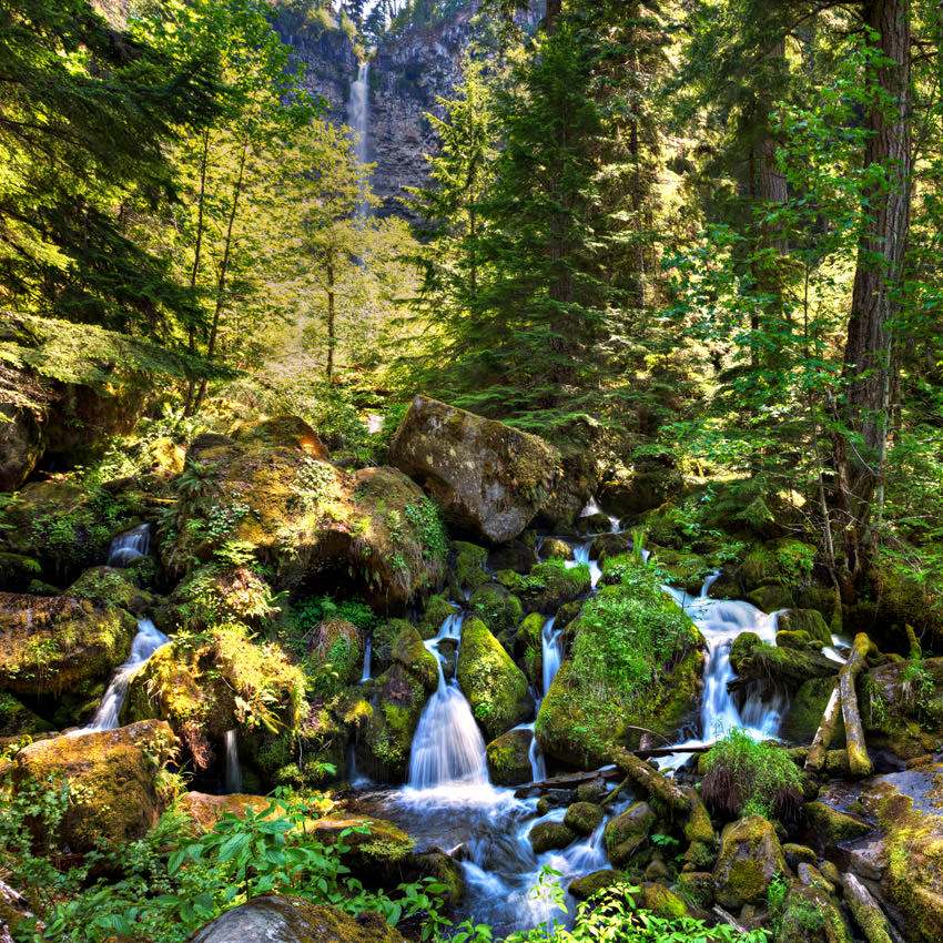 Top Things to Do in Oregon This Spring Travel Oregon