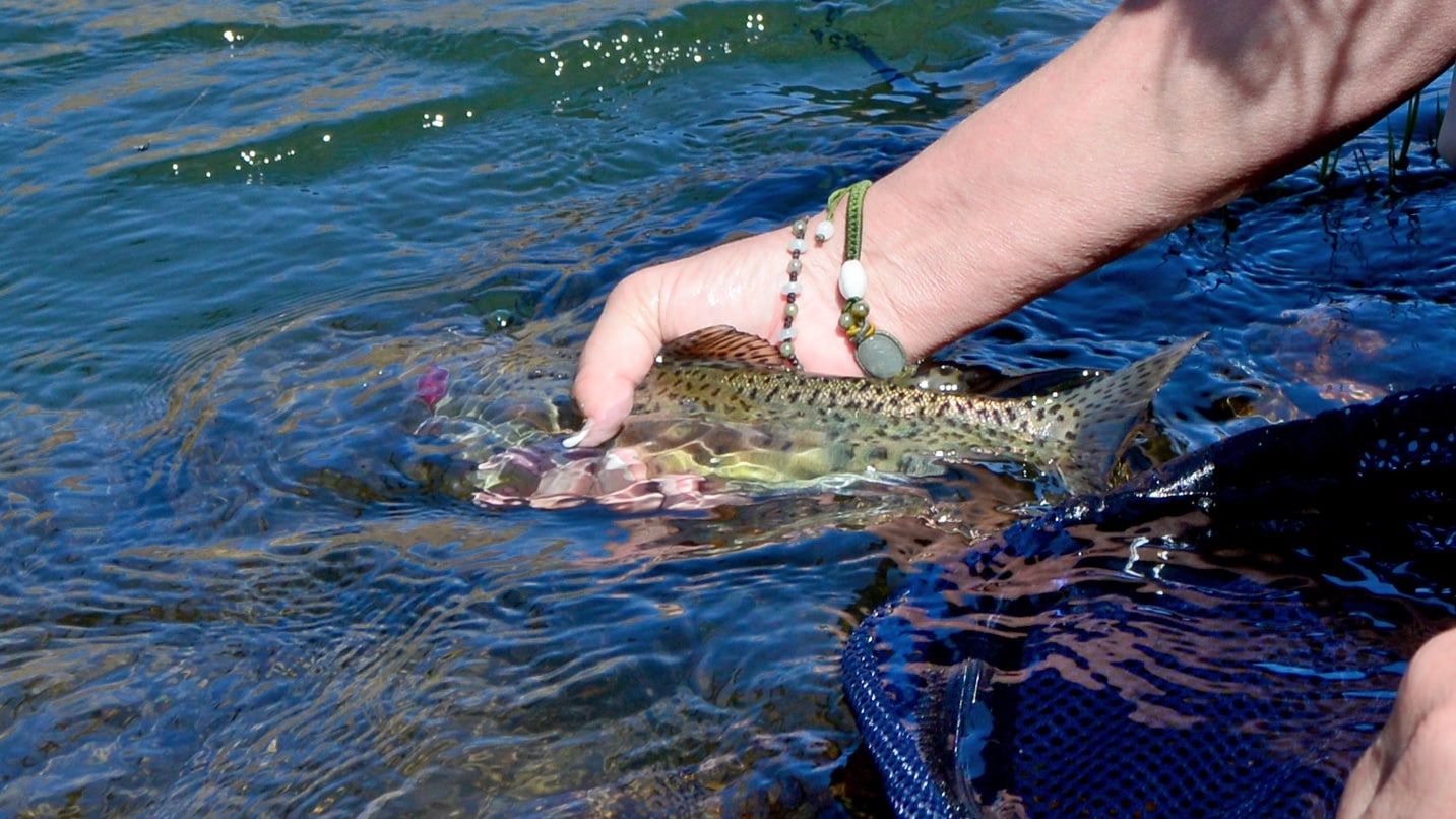 Get Started FlyFishing in Oregon Travel Oregon
