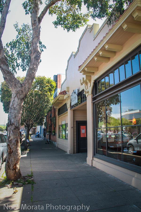 Visiting Point Reyes Station Travel Photo Mondays