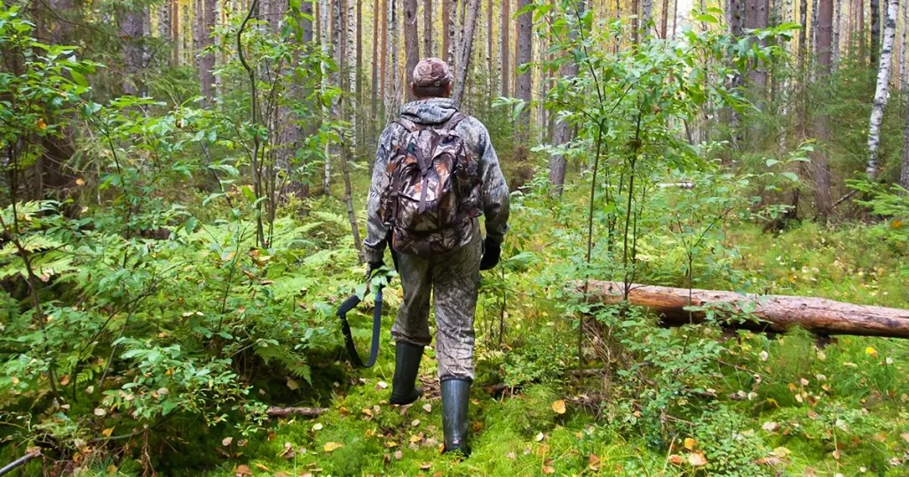 Best Elk Hunting Backpack Our Top 5 Picks (2021) Travel Savvy Guide